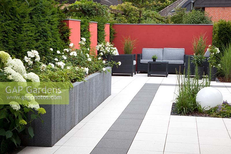 Modern paved garden with raised beds backed by red screen and Taxus - Yew hedge. Plants include Miscanthus, Hydrangea arborescens 'Annabelle' and Rosa 'Schneeflocke'