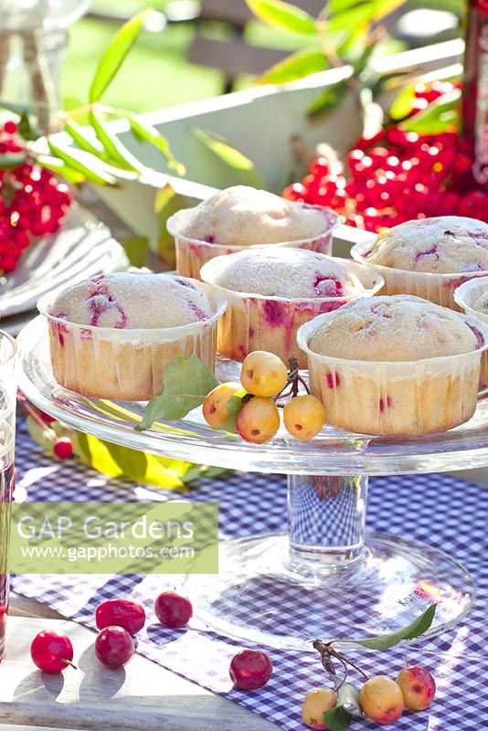 Elderberry muffins on glass cake stand