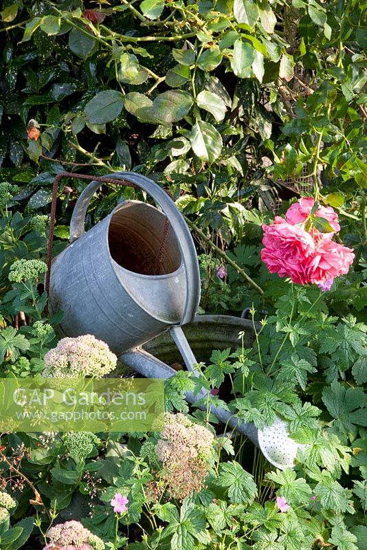 Water feature made of old galvanised watering can - Marx Garden 
 