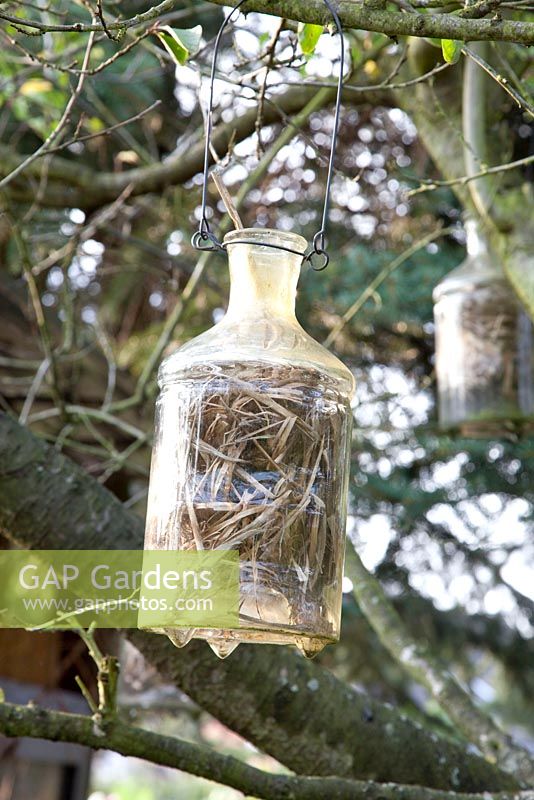 Old bottle made into insect hotel - Marx Garden 
 