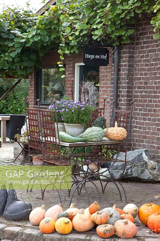 Metal table and chairs on patio decorated with Pumpkins - Huys en Hof 
