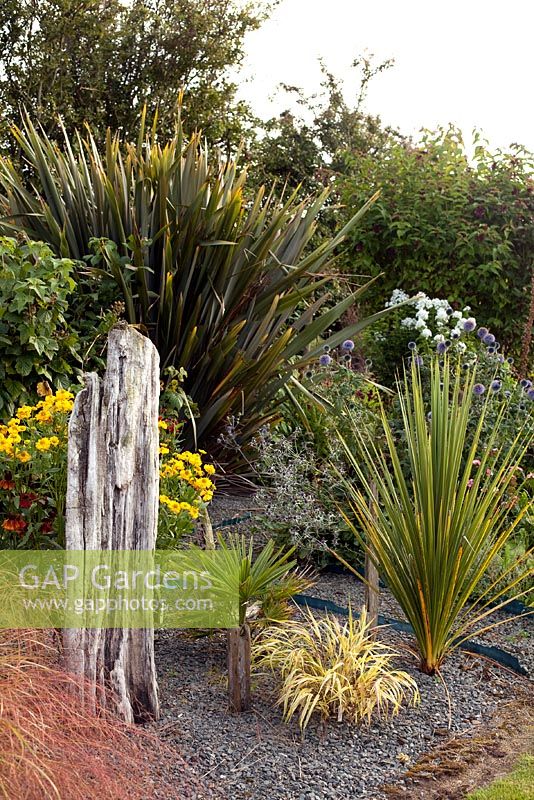 Mixed border with exotic plants - summer 