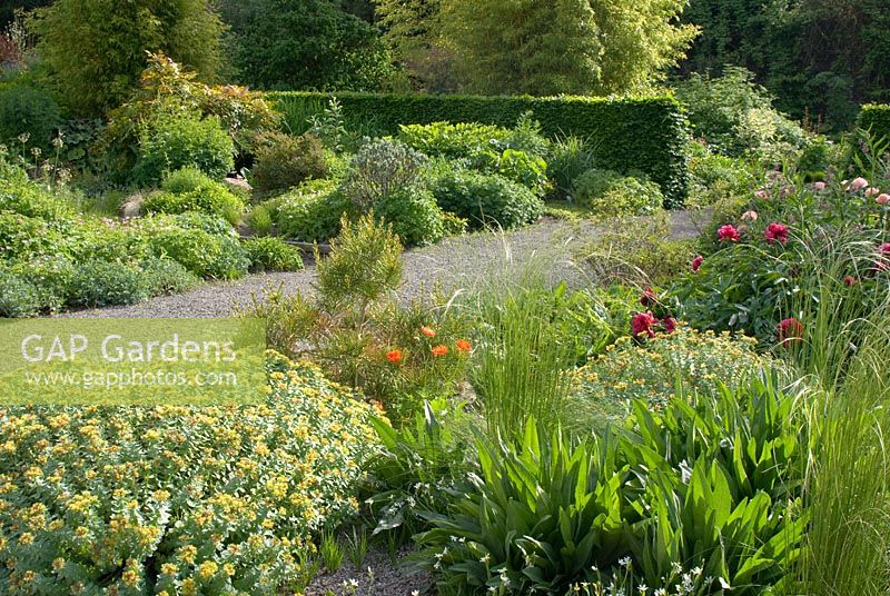 Colourful borders with perennials, grasses and gravel paths
