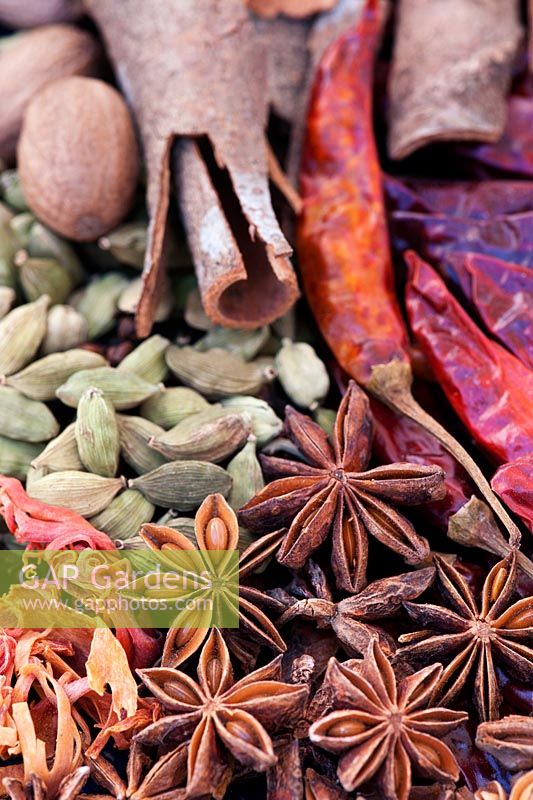 Collection of Indian spices. Nutmeg, Star anise, Cardamom, Cloves, Chilli and Cinnamon 