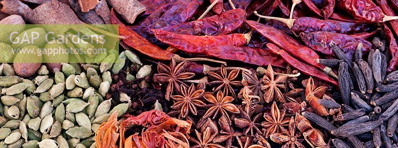 Collection of Indian spices - Nutmeg, Cardamon, Cloves, Chillies, Cinnamon, Star Anise
