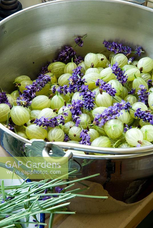Lavender added to Gooseberries during jam making process