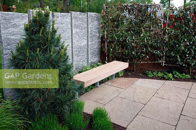 Partition made of granite steles with Pinus - Pine tree and espaliered Photinia