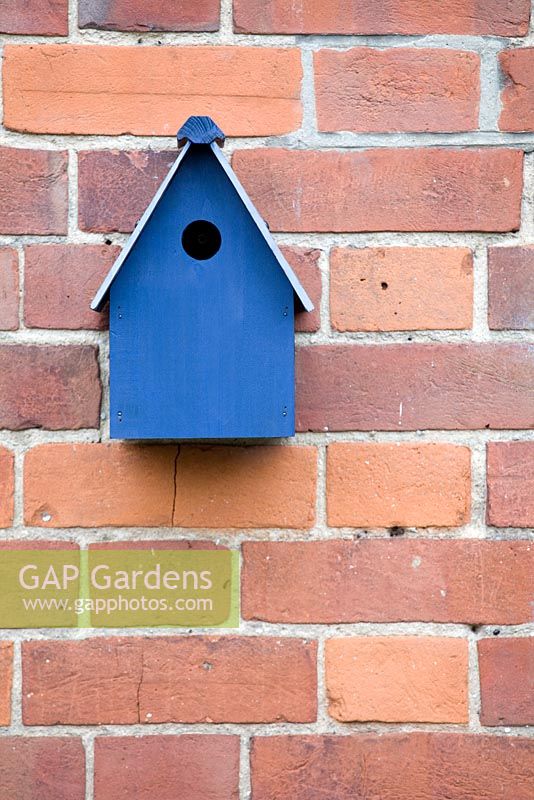 Bird house on garden wall