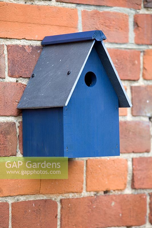 Bird house on garden wall