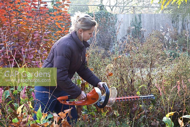 Woman cutting back herbaceous border with hedge cutter