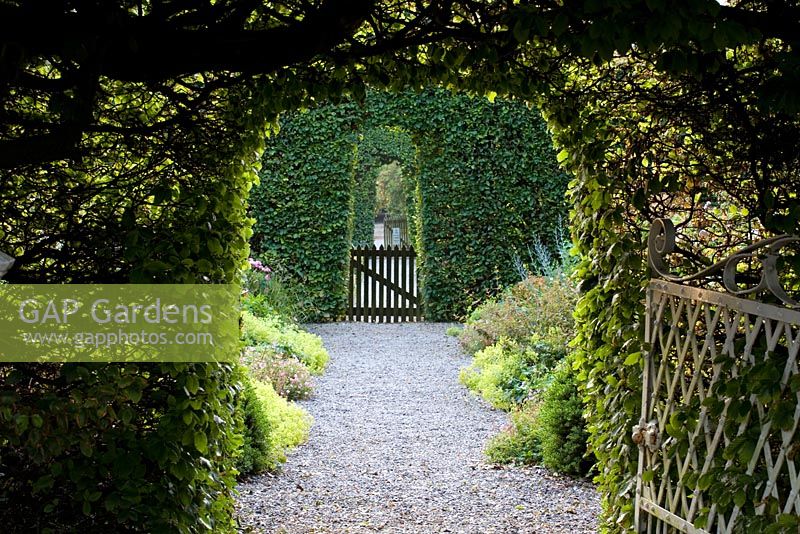 Arches cut into beech hedges leading through gardens at Ballymaloe Cookery school