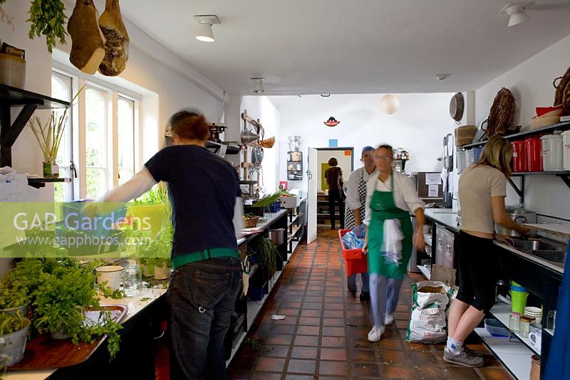 In the kitchen at Ballymaloe cookery school