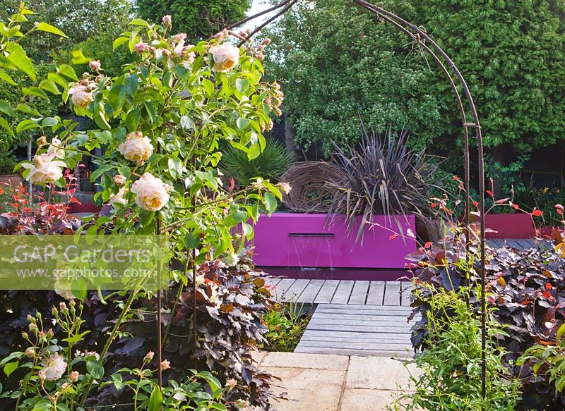 View through metal arch with Rosa past purple Fagus - Beech hedge to pool with pink wall, Phormium and waterfall