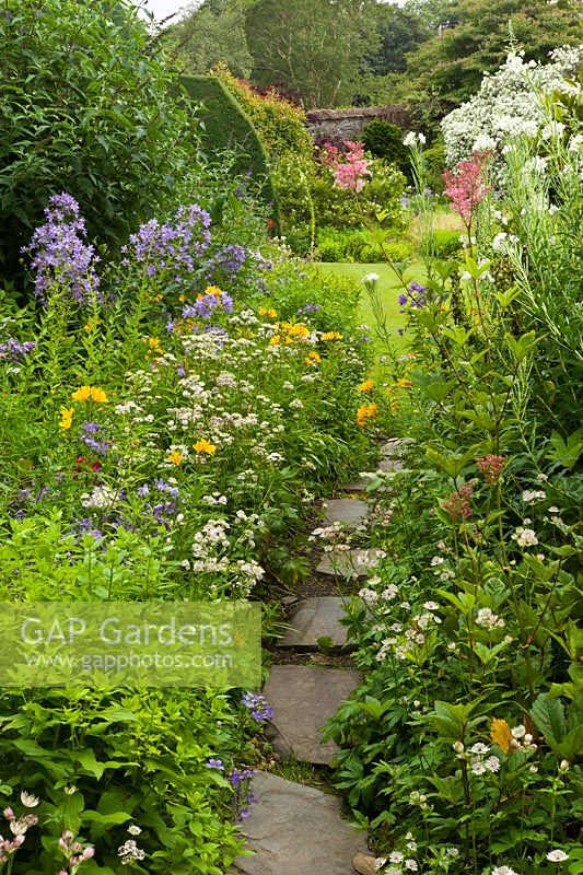 A floral pathway to the Bowling Green Terrace, with Alstroemeria, Astrantia. The Garden House, Yelverton, Devon. 