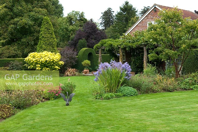 Lawn and sweeping borders with pergola and clipped leylandii hedging in background and specimen Ginkgo biloba on right - The Garden at The Bannut, Bringsty, Herefordshire