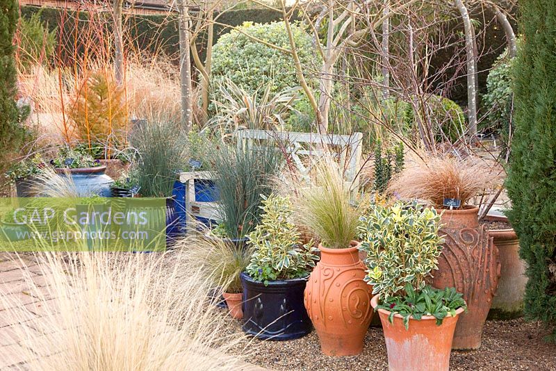 Winter patio with Stipa tenuissima,Juncus patens 'Carmans Gray', Carex buchananii 'Red Rooster' and Euonymus japonicus