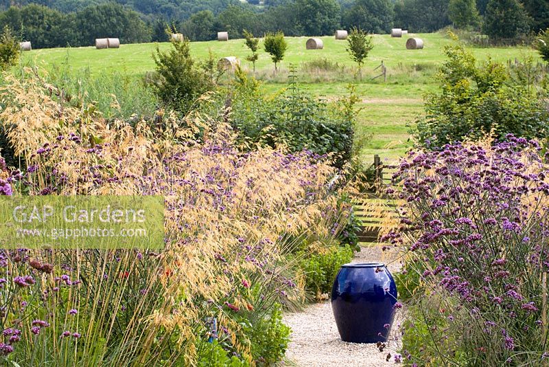 Stipa gigantea and Verbena bonariensis in the cutting garden at Perch Hill. Empty glazed pot as focal point, countryside beyond