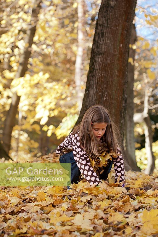 Girl playing with autumn leaves.