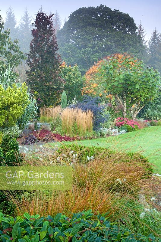 The Foliage Garden and The Plantsmans Garden at RHS Garden Rosemoor, Great Torrington, Devon, September
