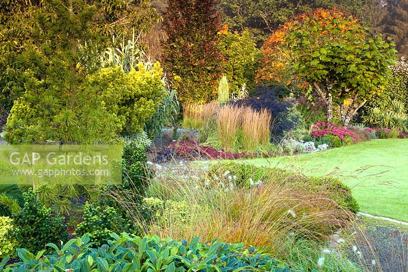 The Foliage Garden and The Plantsmans Garden at RHS Garden Rosemoor, Great Torrington, Devon, September 
