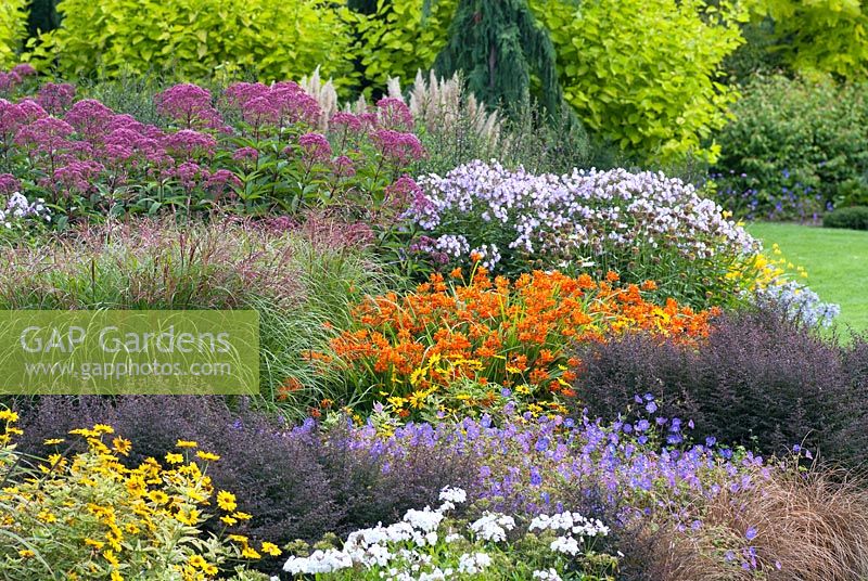 The Summer Garden in August, Bressingham Gardens, Norfolk, UK. 