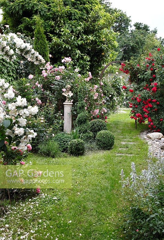 Romantic rose garden with statues and Buxus balls