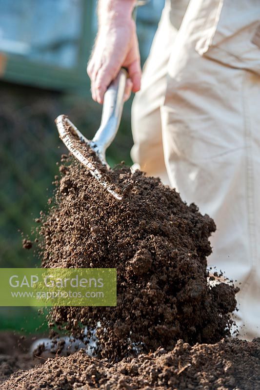 Gardener digging, turning and aerating the soil in a vegetable garden with a garden fork