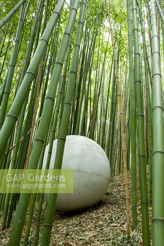 Modern sculptures amongst bamboo canes
 
