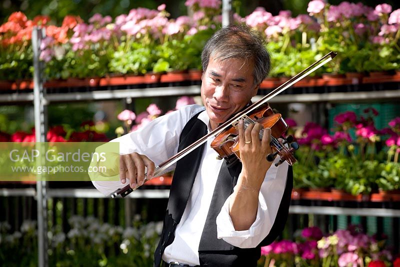 Musician playing on Columbia road flower market