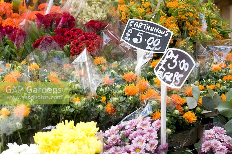 Columbia road flower market