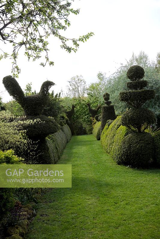 Yew Topiary birds, wedding-cake tiers and crowns, and wavy Buxus hedges frame enclosed grass pathway