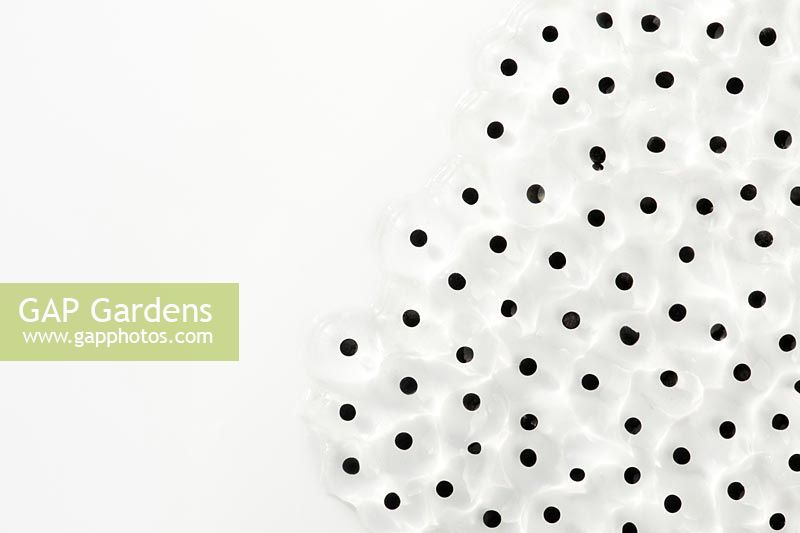 Frog spawn against a white background