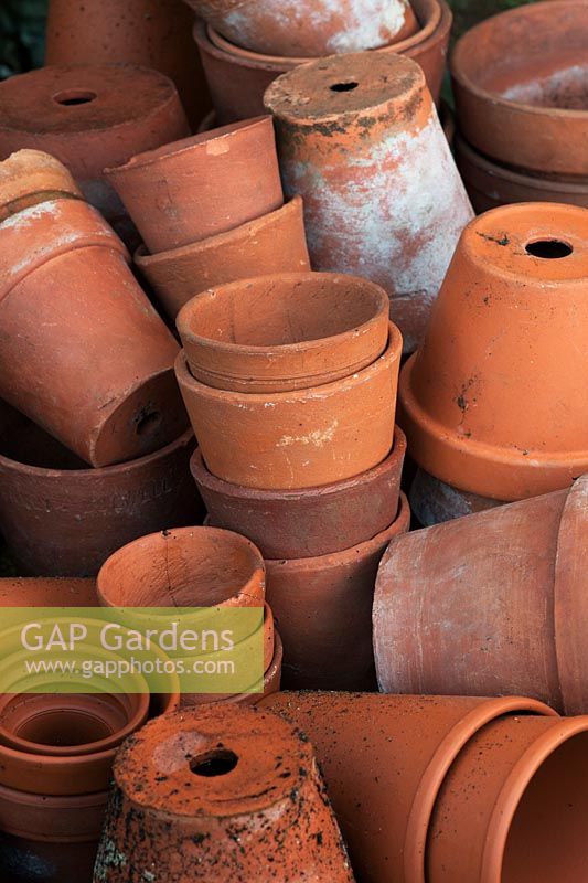 Terracotta flower pots