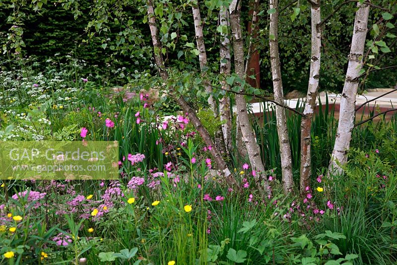 RHS Chelsea Flower Show 2012 The Daily Telegraph Garden designed by Sarah Price, Sponsor The Telegraph