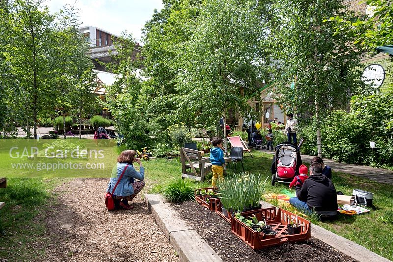 Dalston Flower Show at the Dalston Eastern Curve Garden.  Chelsea Fringe 2013