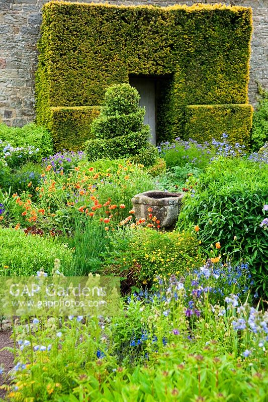 The Flower Garden features strong blocks of box and yew that frame cottage garden plants and flowers including Polemoniums, Geraniums and poppies - Herterton House, Hartington, Northumberland, UK