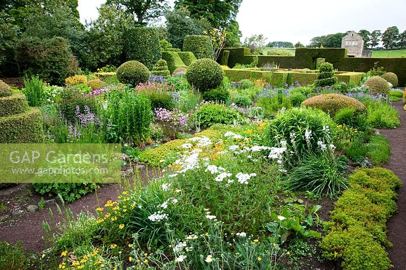 The Flower Garden features strong blocks of box and yew that frame cottage garden plants and flowers, including Achillea, Lychnis, Astrantia and Persicaria - Herterton House, Hartington, Northumberland, UK