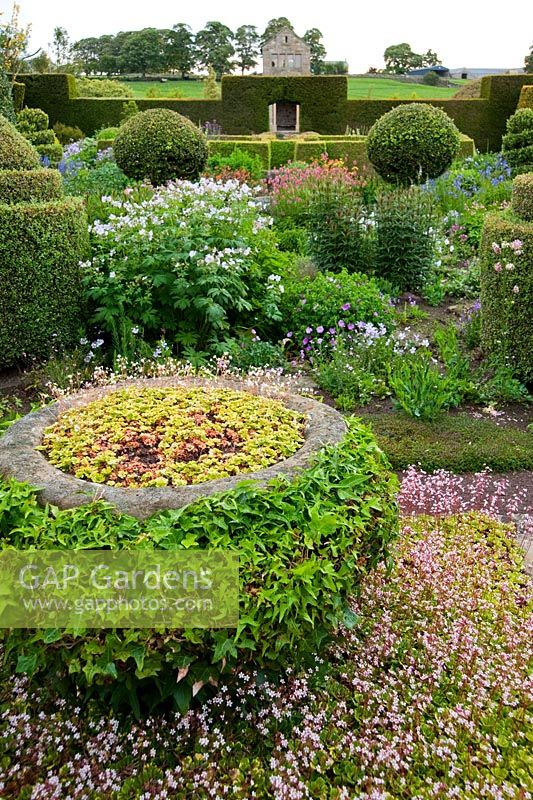 The Flower Garden features strong blocks of box and yew that frame cottage garden plants and flowers, stone container planted with saxifrages and clothed in clipped ivy - Herterton House, Hartington, Northumberland, UK