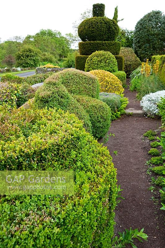 The Formal Garden at the front of the house features box and yew topiary - Herterton House, Hartington, Northumberland, UK