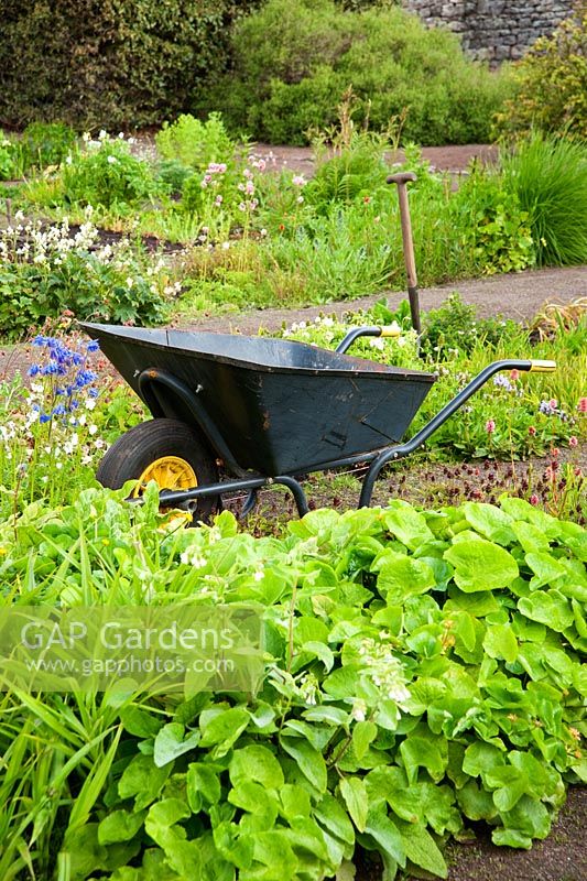 Wheelbarrow in the nursery garden - Herterton House, Hartington, Northumberland, UK