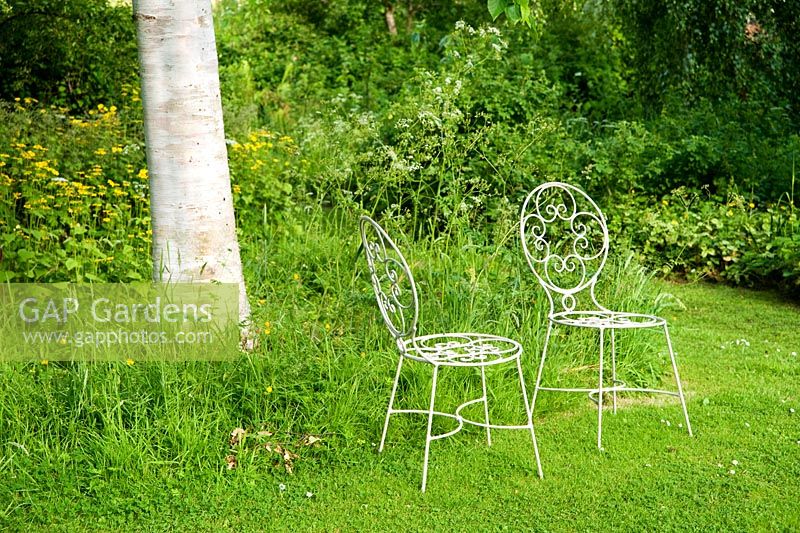 A pair of metal chairs set on the edge of the lawn, beside longer grass and naturalistic planting under silver birches - Mindrum, nr Cornhill on Tweed, Northumberland, UK