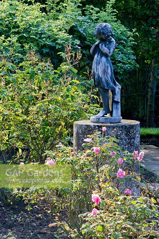 Statue of girl in rose garden. Rosa 'Frau Astrid Spath' in foreground