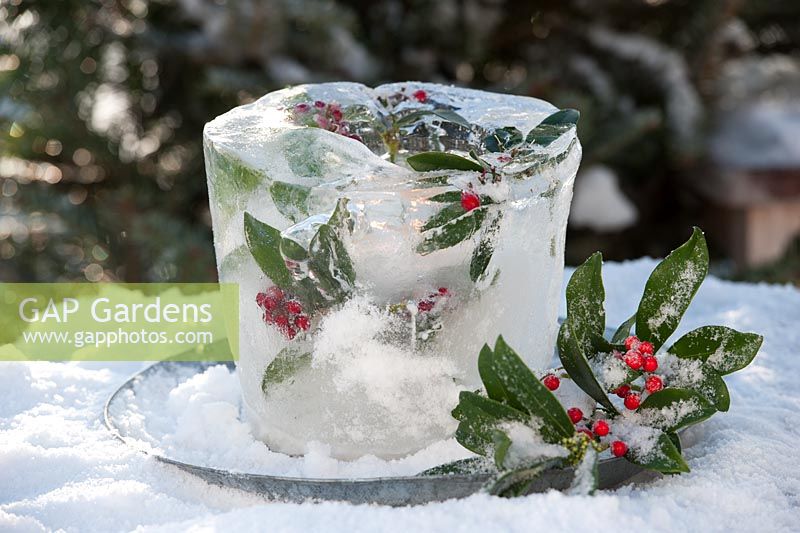 Decorative frozen ice block with ivy 
