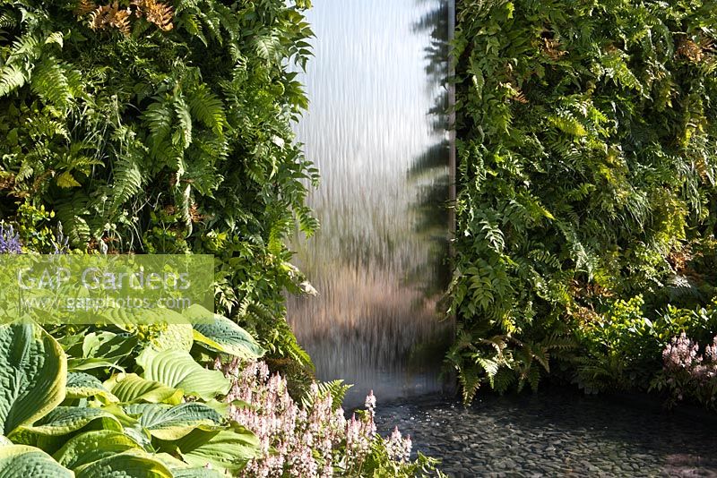 Vertical gardening fern wall and stainless steel water chute. A Place to Reflect. Awarded Gold and Best in Show, Malvern Spring Gardening Show 2012