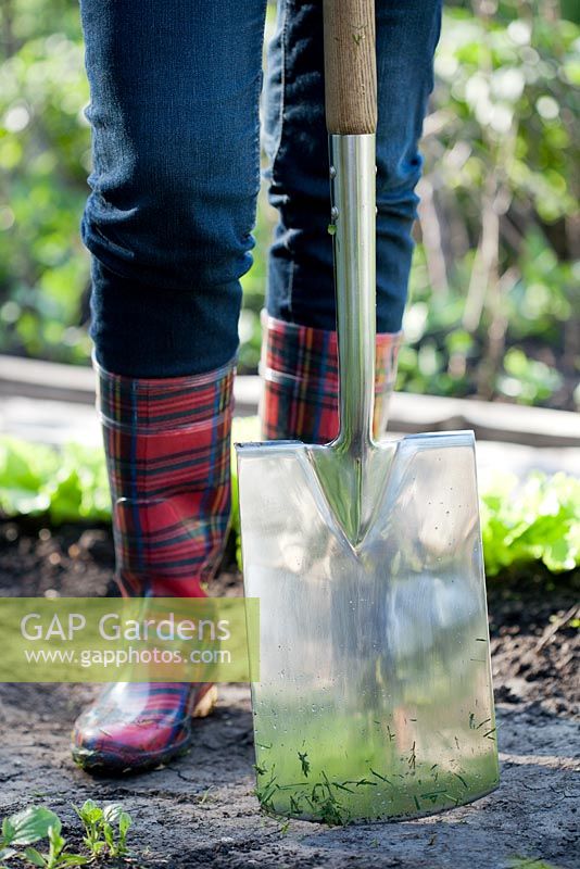 Woman in red wellies with stainless garden spade standing in the garden.