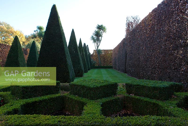 Topiary in the formal garden - East Ruston Old Vicarage Gardens, Norfolk
