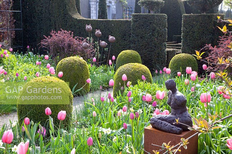 Formal garden with Tulipa 'Pink Impression', Tulipa 'Pink Diamond', Tulipa 'Rosalie', Tulipa 'Violet Beauty' and Narcissus 'Bellsong'
