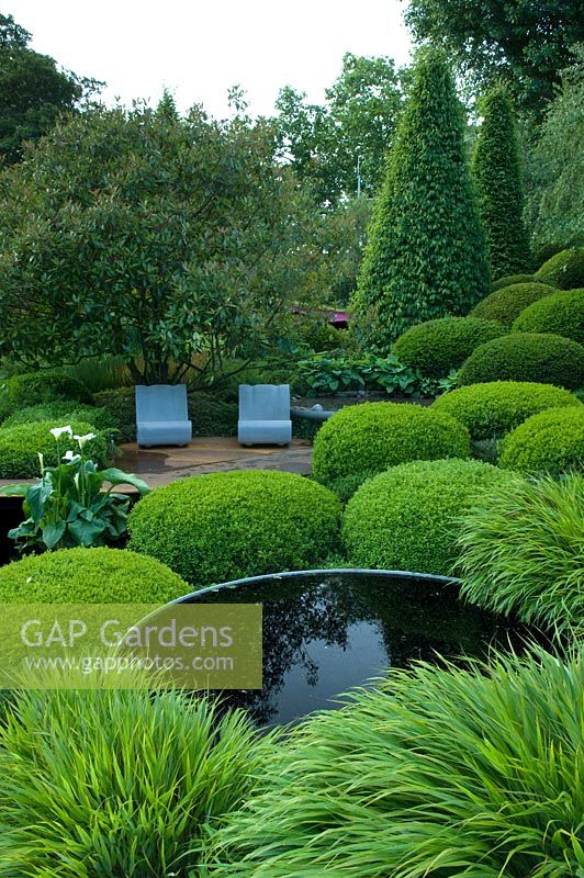 Clipped box, Hakonechloa and circular ponds in The Irish Sky Garden - RHS Chelsea Flower Show 2011