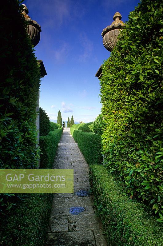 Stone pathway through clipped hedges in large country garden 