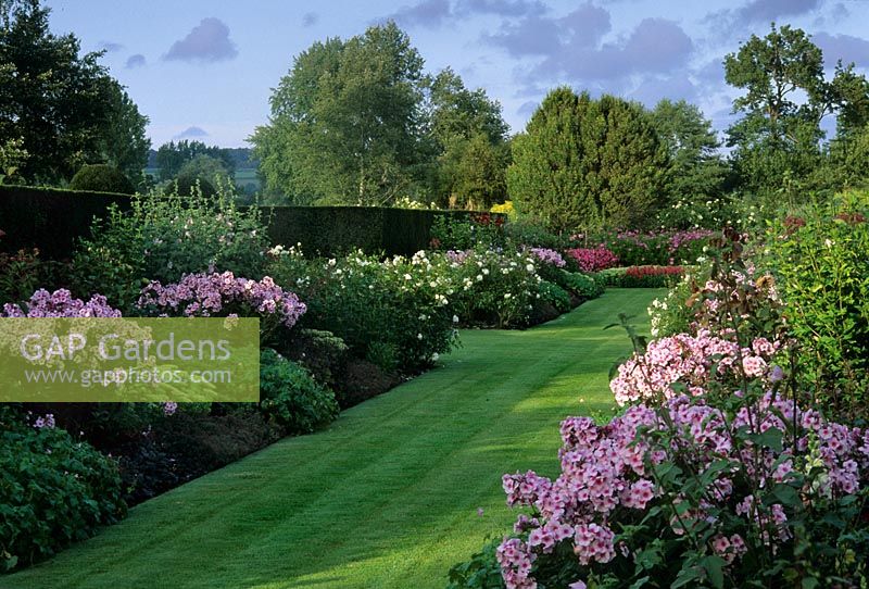 Summer borders in large country garden 